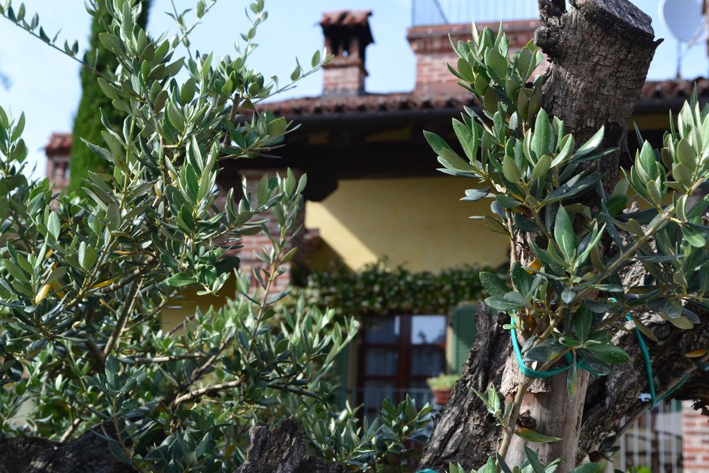 Heremo Delle Ripe Trinita (Cuneo)